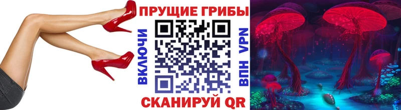 Галлюциногенные грибы Cubensis  маркетплейс формула  Каменск-Шахтинский 